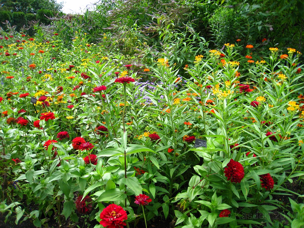 Botanical Gardens 2010 0315.jpg - The Chicago Botanic Gardens. Wear comfortable shoes, and be prepared to enjoy the landscape for a day.